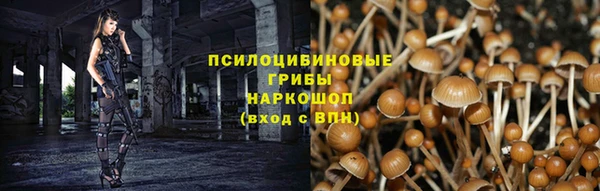 дмт Нязепетровск