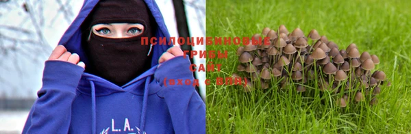 скорость Нягань