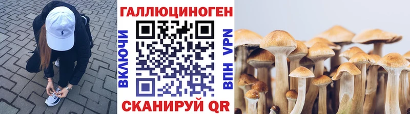 Купить закладки  Инта  Псилоцибиновые грибы Cubensis 